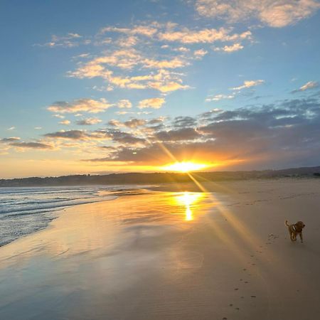 Coastal Motel Apollo Bay Dış mekan fotoğraf