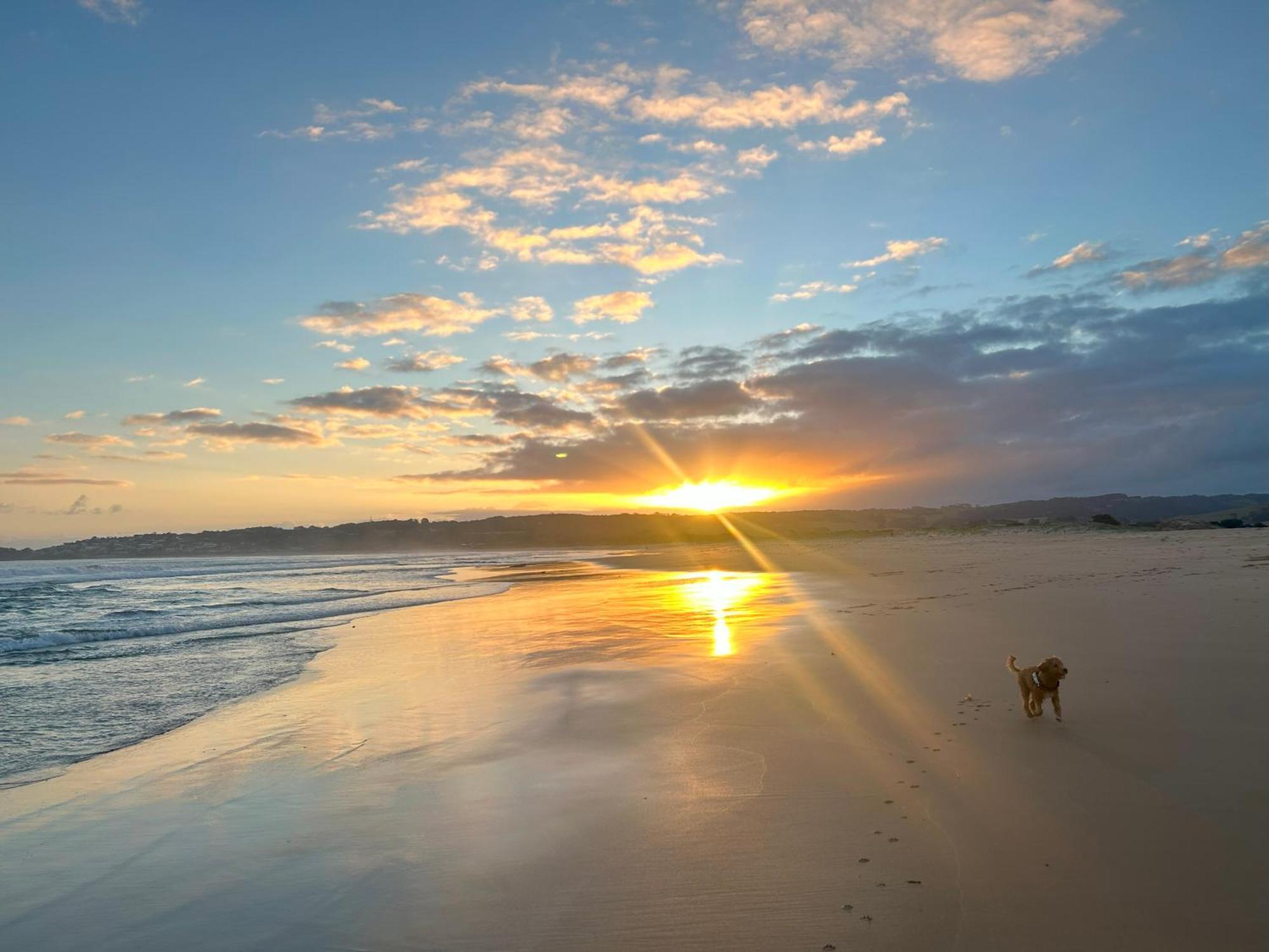 Coastal Motel Apollo Bay Dış mekan fotoğraf
